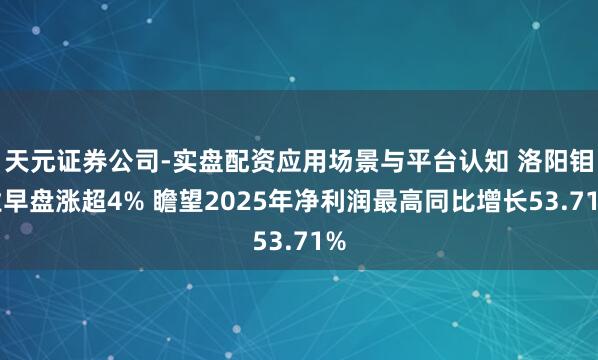 天元证券公司-实盘配资应用场景与平台认知 洛阳钼业早盘涨超4% 瞻望2025年净利润最高同比增长53.71%