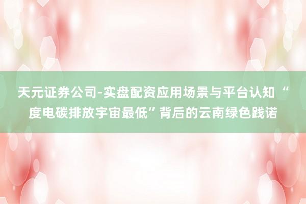 天元证券公司-实盘配资应用场景与平台认知 “度电碳排放宇宙最低”背后的云南绿色践诺