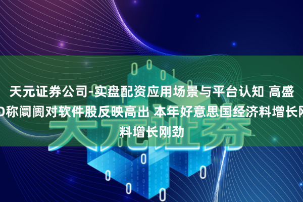 天元证券公司-实盘配资应用场景与平台认知 高盛CEO称阛阓对软件股反映高出 本年好意思国经济料增长刚劲