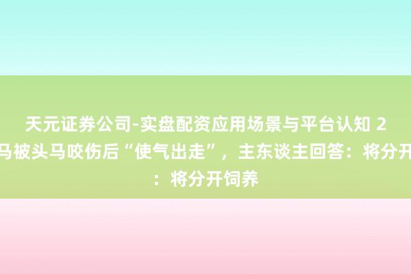 天元证券公司-实盘配资应用场景与平台认知 2岁小马被头马咬伤后“使气出走”，主东谈主回答：将分开饲养